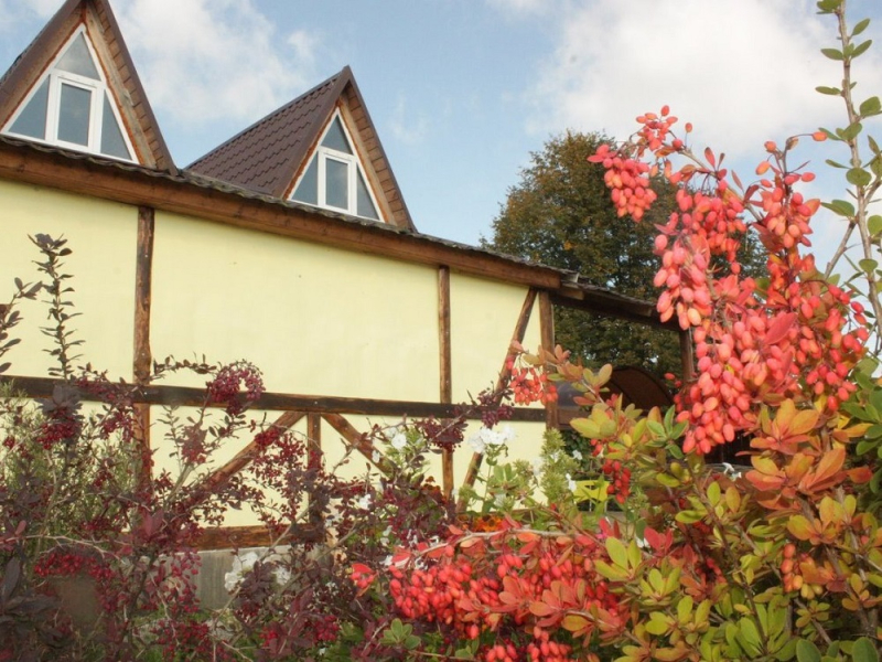 Эко Усадьба Витрино, база отдыха