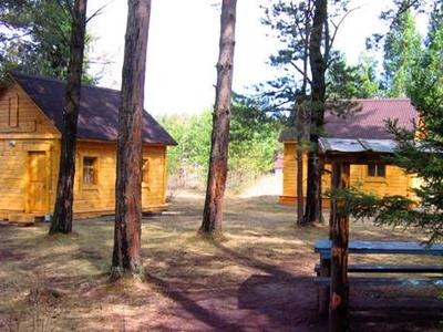 Сосна, база отдыха