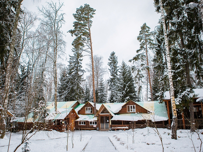 Загородный клуб романтик. Новый ТУРБАЗАР. Загородный клуб романтик собаки. Загородный клуб романтик фото.