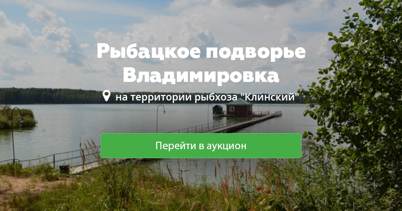 Погода д владимировка. Рыбацкое подворье Владимировка. Деревня Владимировка Клинский район. Деревня Владимировка Клинский район рыбалка. Владимировка Ломоносовский район.