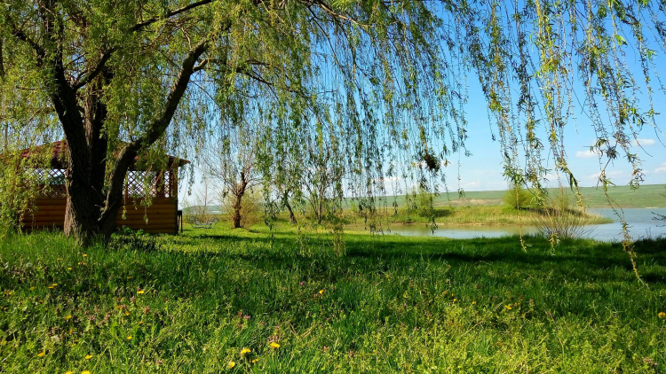 Купить Дом В Селе Сенгилеевское