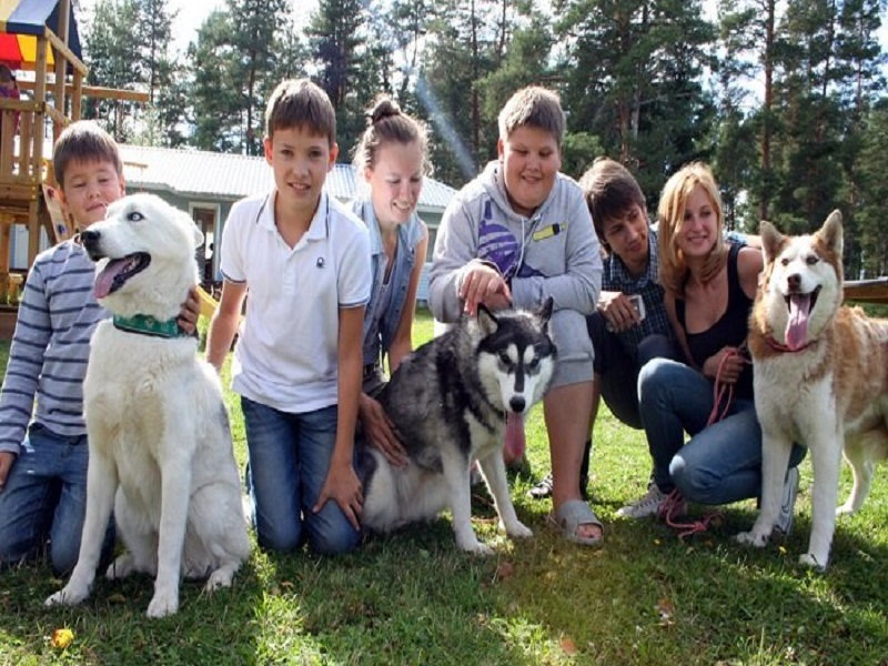 Кудама, туркомпелкс