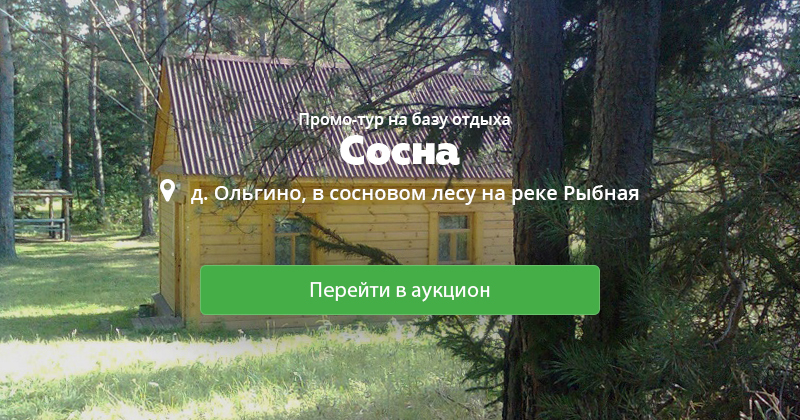 База отдыха сосновый киров