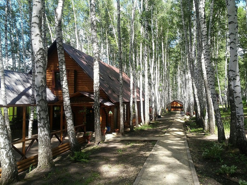 Тербуны база отдыха лукоморье фото